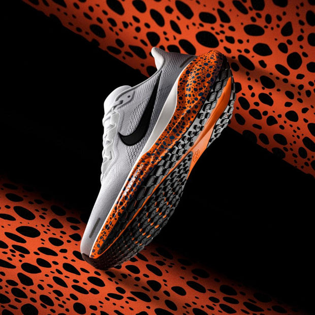 <h2>Air Pegasus</h2>