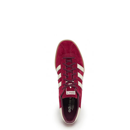Adidas Bermuda Collegiate Burgundy