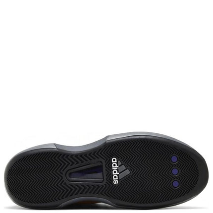 Adidas Crazy 1 Sunshine (2022)
