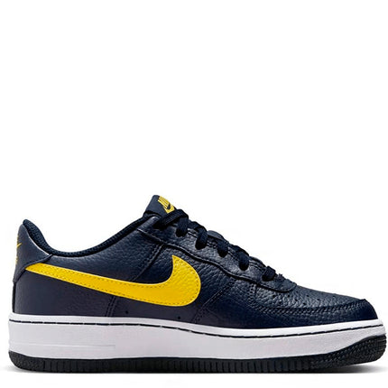 Air Force 1 Low Michigan