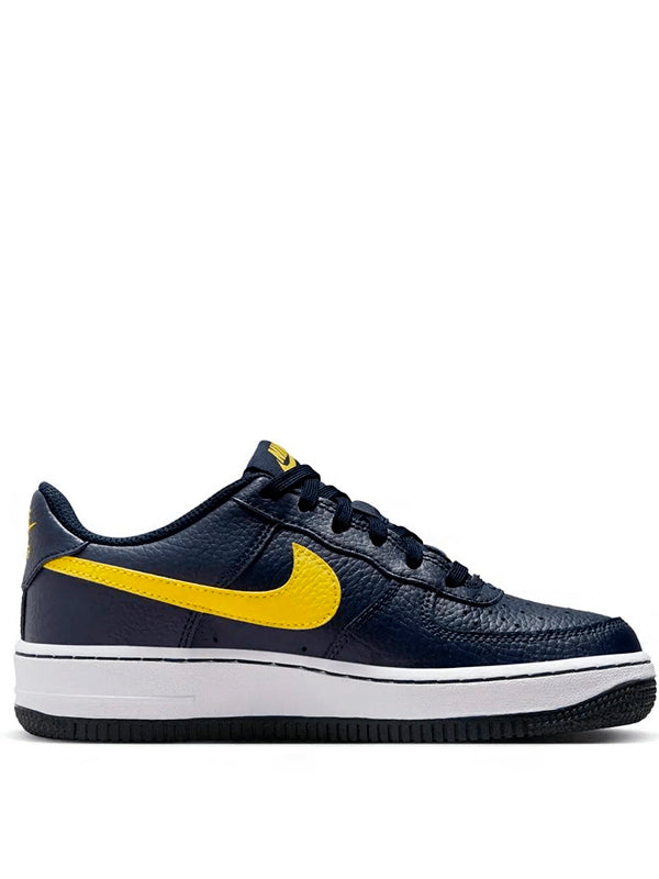 Air Force 1 Low Michigan