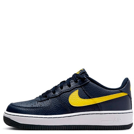 Air Force 1 Low Michigan