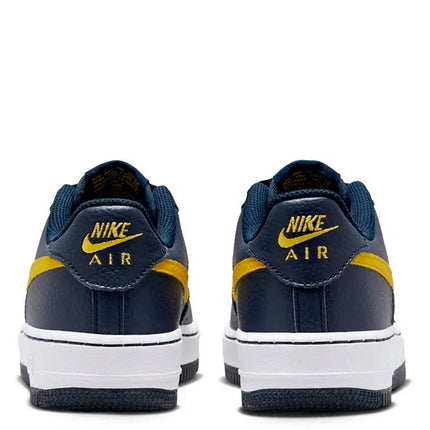 Air Force 1 Low Michigan