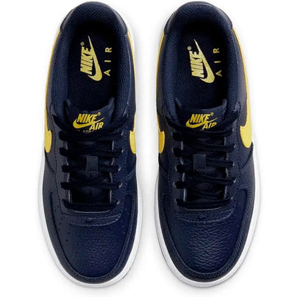 Air Force 1 Low Michigan
