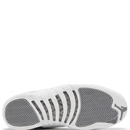 Air Jordan 12 Stealth