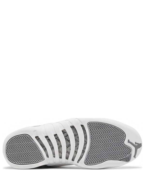 Air Jordan 12 Stealth