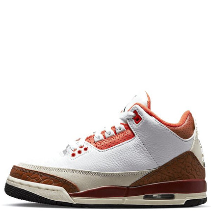 Air Jordan 3 Retro Dunk on Mars