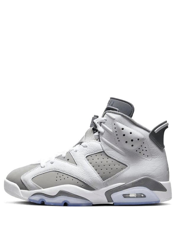 Air Jordan 6 Cool Grey