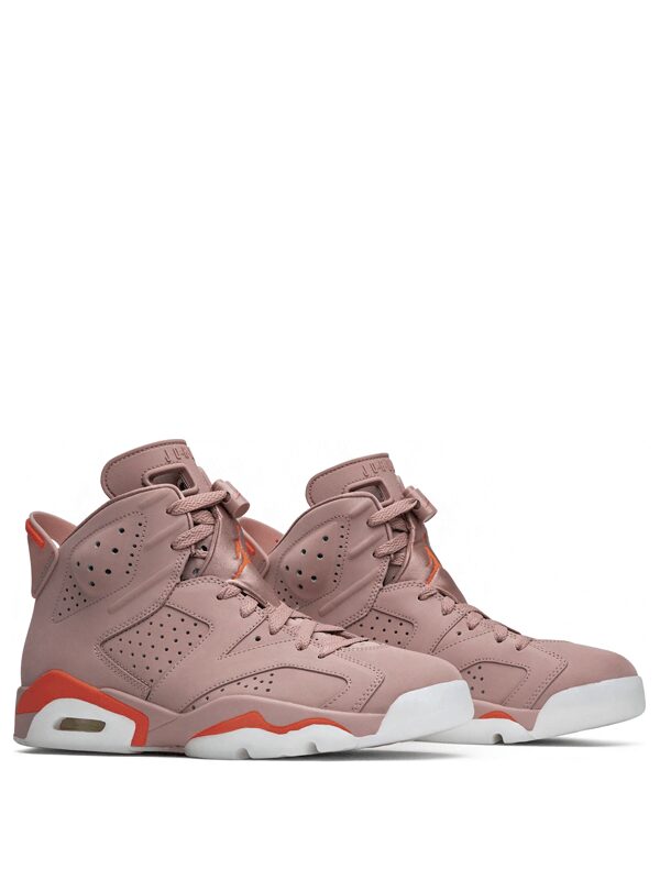 Air Jordan 6 Retro Aleali May