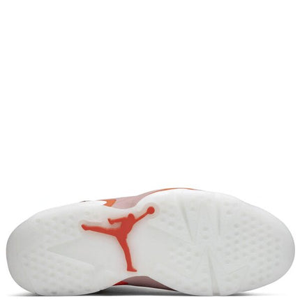 Air Jordan 6 Retro Aleali May