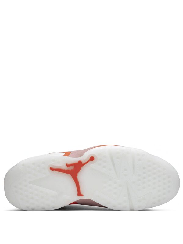 Air Jordan 6 Retro Aleali May