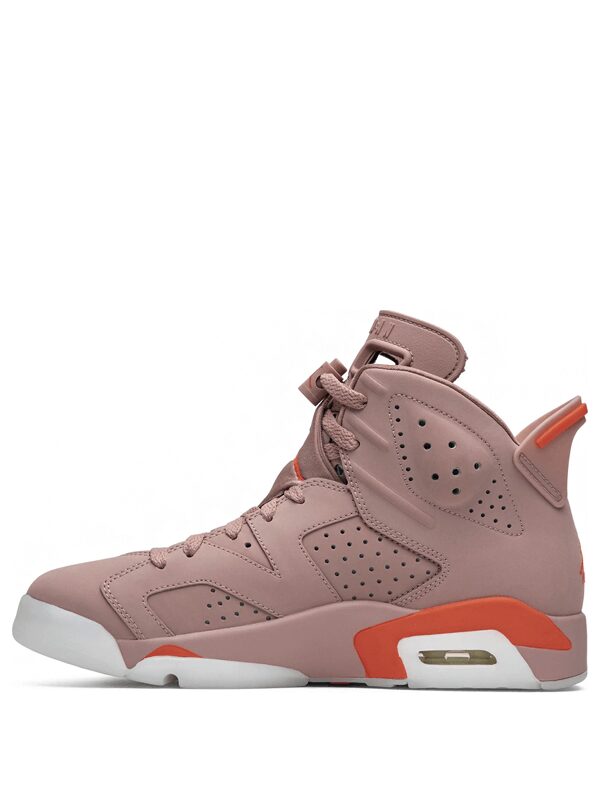 Air Jordan 6 Retro Aleali May