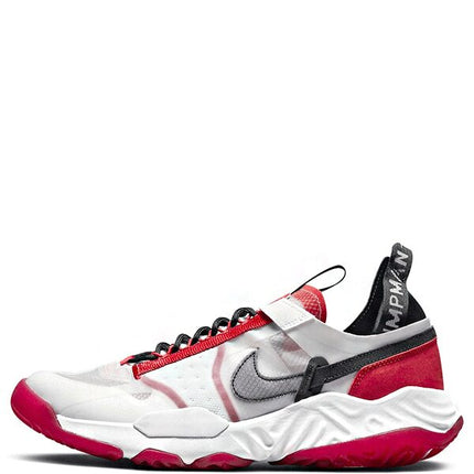 Air Jordan Delta Breathe Chicago