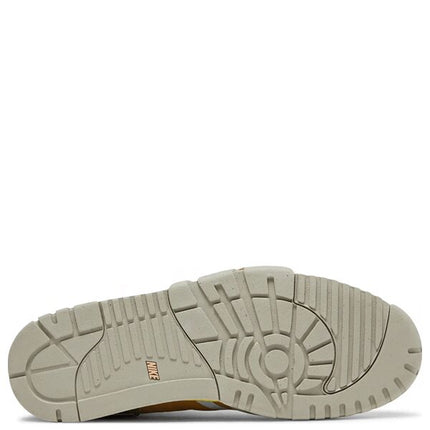 Air Trainer 1 Coriander