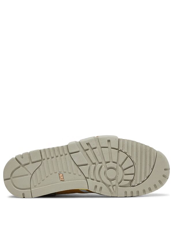 Air Trainer 1 Coriander