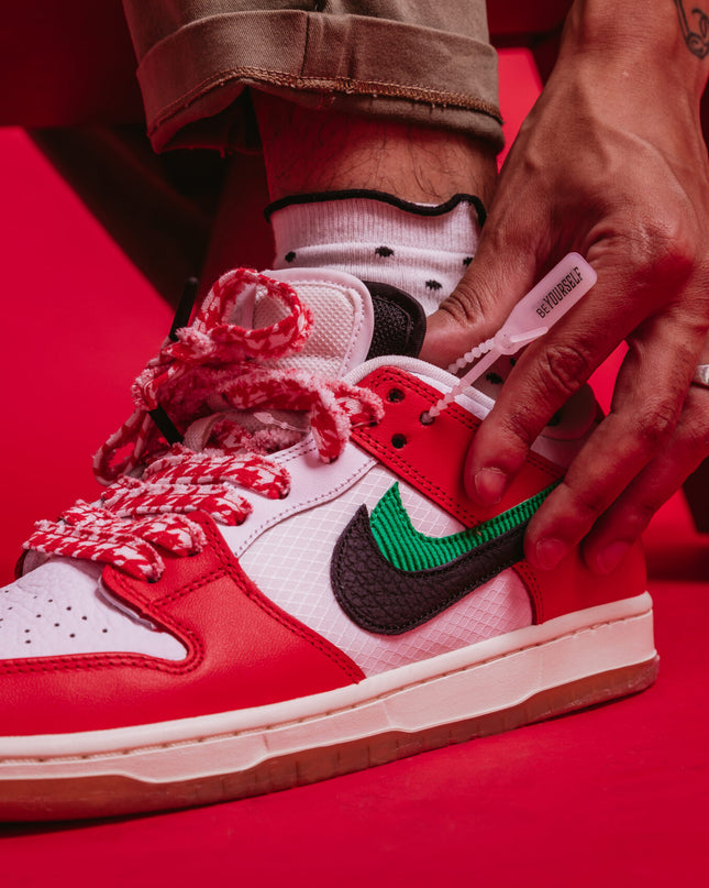 Frame x Nike SB Dunk Habibi