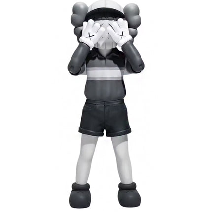 KAWS Chul-Su Vinyl Figure Set of 2 Coloured/Monotone