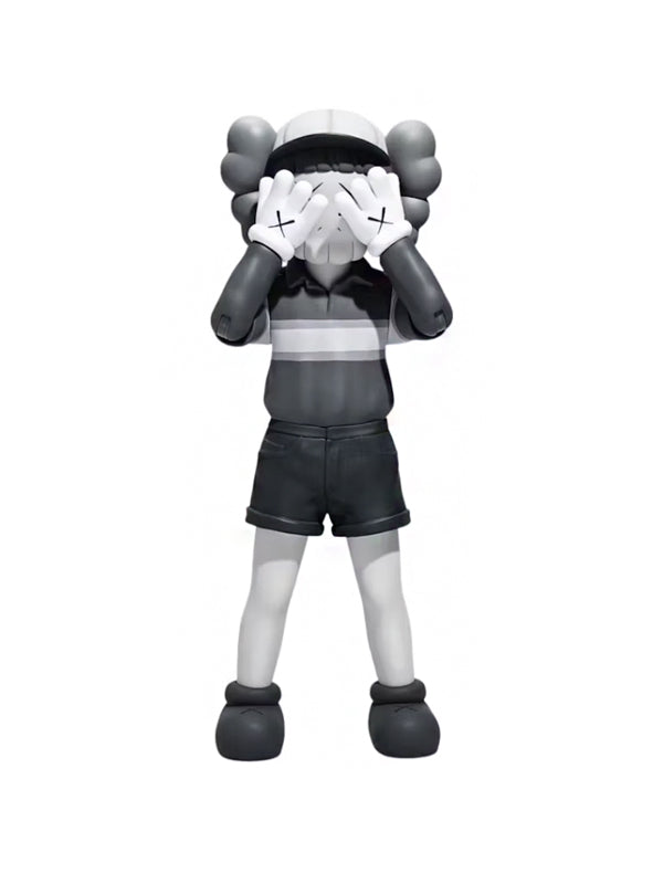 KAWS Chul-Su Vinyl Figure Set of 2 Coloured/Monotone