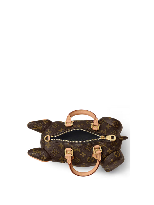 Louis Vuitton Pooch Bag Monogram