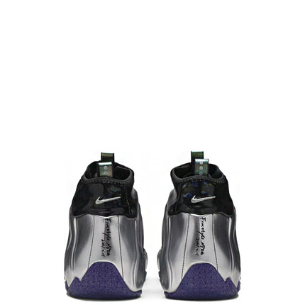 Nike Air Flightposite China Hoop Dreams
