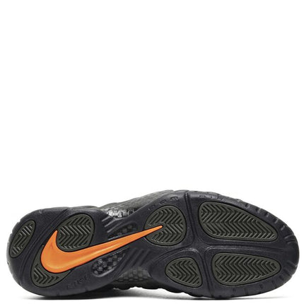 Nike Air Foamposite Pro Sequoia