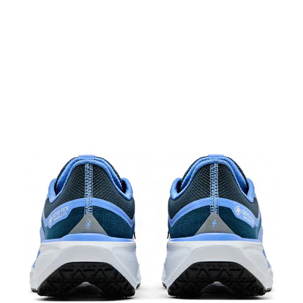 Nike Air Zoom Pegasus 41 Gore-Tex Cobalt