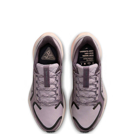 Nike Air Zoom Pegasus 41 Gore-Tex Platinum Violet Crimson Tint