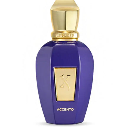 Perfume Xerjoff Vibe Accento Eau de Parfum 100 ml