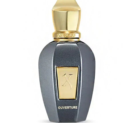 Perfume Xerjoff Vibe Ouverture Eau de Parfum 100 ml