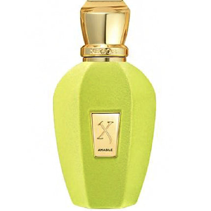 Perfume Xerjoff Amabile Eau de Parfum 100 ml