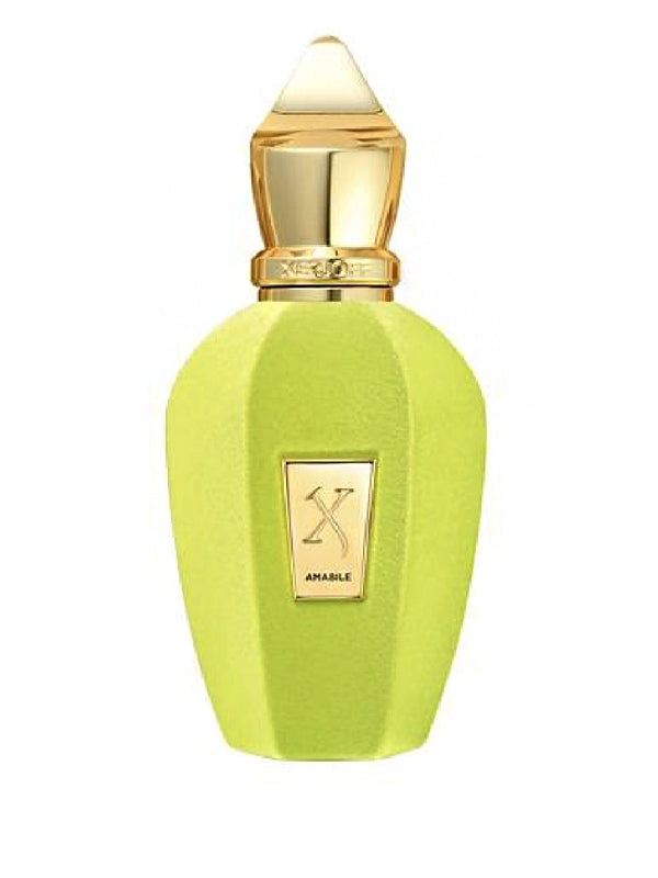 Perfume Xerjoff Amabile Eau de Parfum 100 ml