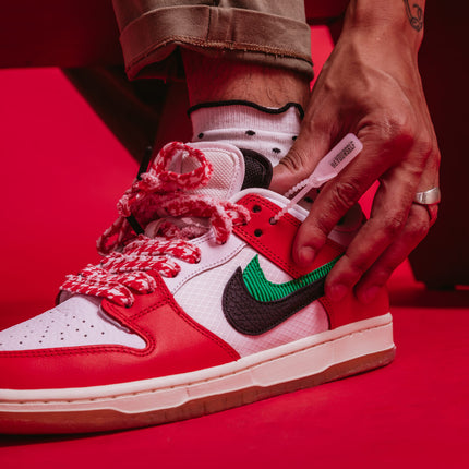 Frame x Nike SB Dunk Habibi