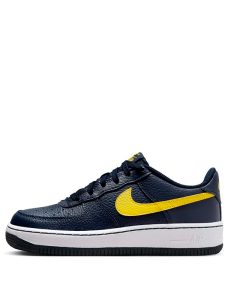 Air Force 1 Low Michigan 2