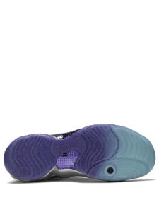 Nike Air Flightposite China Hoop Dreams3