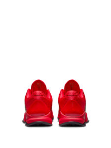 Nike Kobe 5 Protro Year of the Mamba University Red4