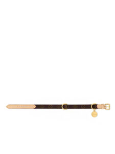 Coleira de Cachorro Louis Vuitton MM Canvas Monogram2
