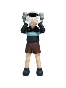 KAWS Chul Su Vinyl Figure Coloured2
