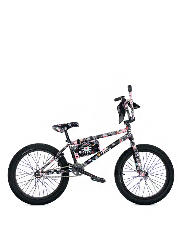 Nigel Sylvester Foundation E Joopiter Realizam Leilão Pedal Forward Com Bicicletas Artísticas Original São Paulo