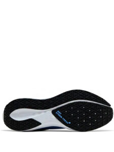 Nike Air Zoom Pegasus 41 Gore Tex Cobalt3