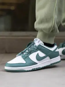 Nike Dunk Low Bicoastal5