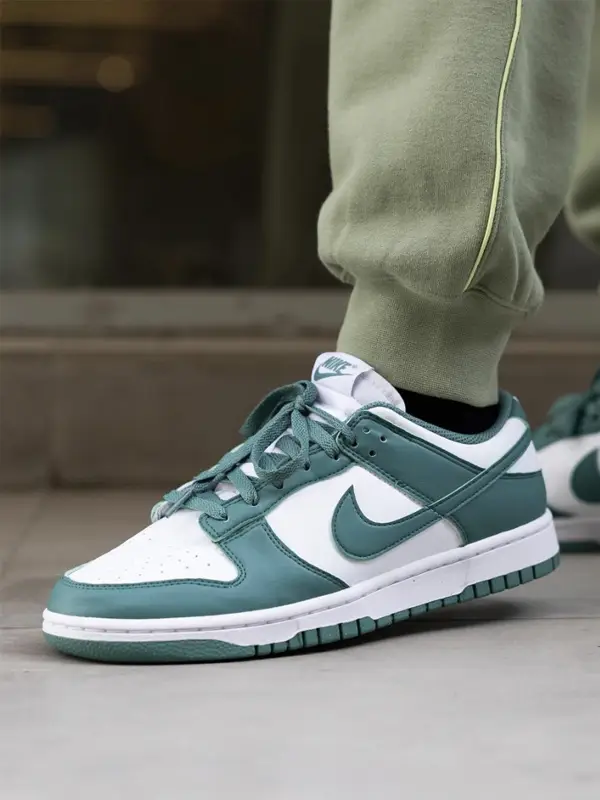 Nike Dunk Low Bicoastal5