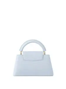 Louis Vuitton x Takashi Murakami Capucines East West Mini Olympe Blue2 1